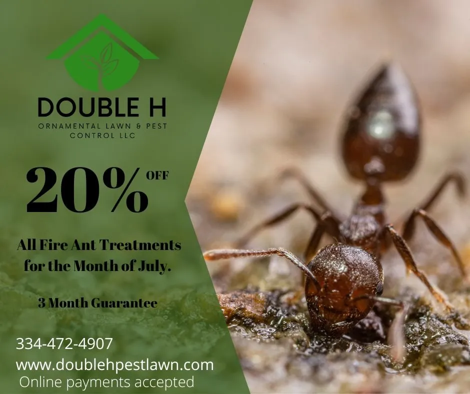 Expert yard cleanup service for beautiful yards in Troy, AL by Double H Ornamental Lawn & Pest Control