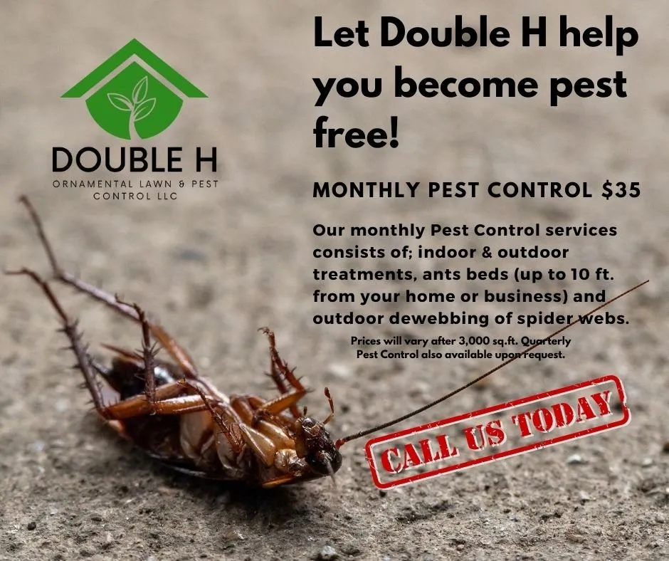 Affordable landscape design experts serving Troy, AL - Double H Ornamental Lawn & Pest Control