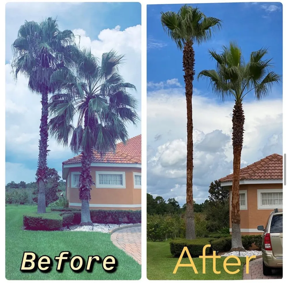 Professional garden landscaping in Orlando, FL - Double J Land Services