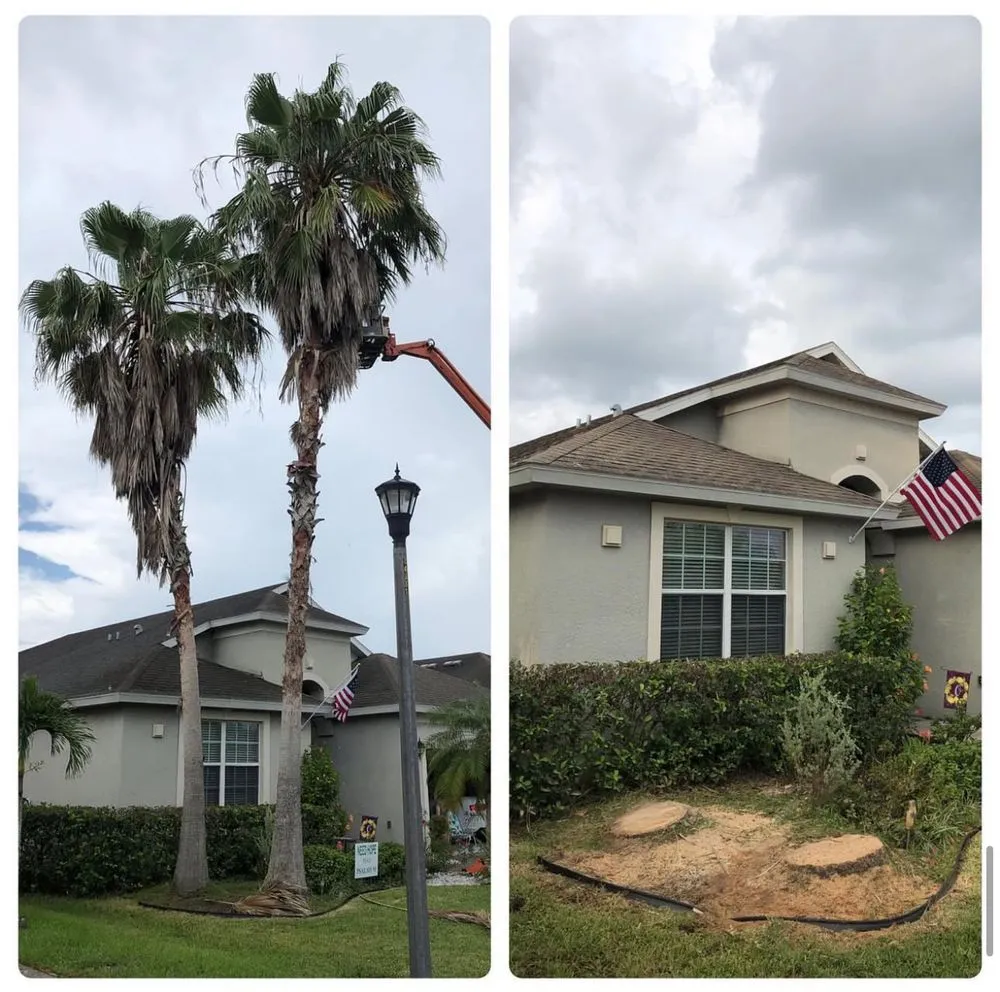 Reliable yard cleanup service near you across Orlando, FL - Double J Land Services