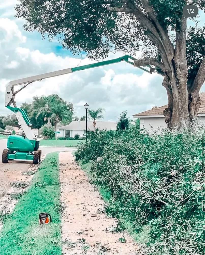 Local residential landscaping experts serving Orlando, FL - Double J Land Services