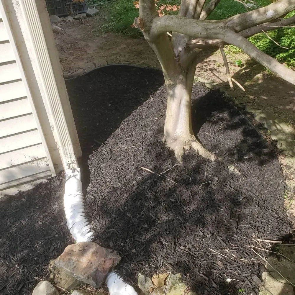 Professional lawn care service experts serving Grand Rapids, MI - Double J Lawn Services