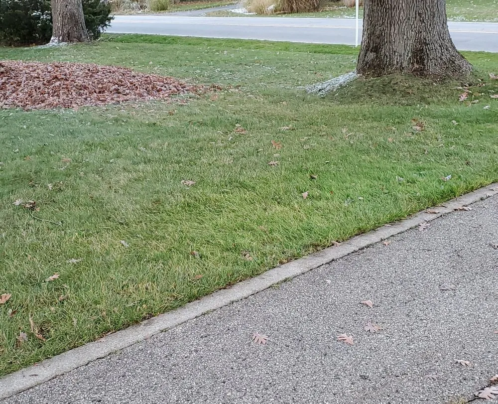 Top-rated yard maintenance in Grand Rapids, MI - Double J Lawn Services