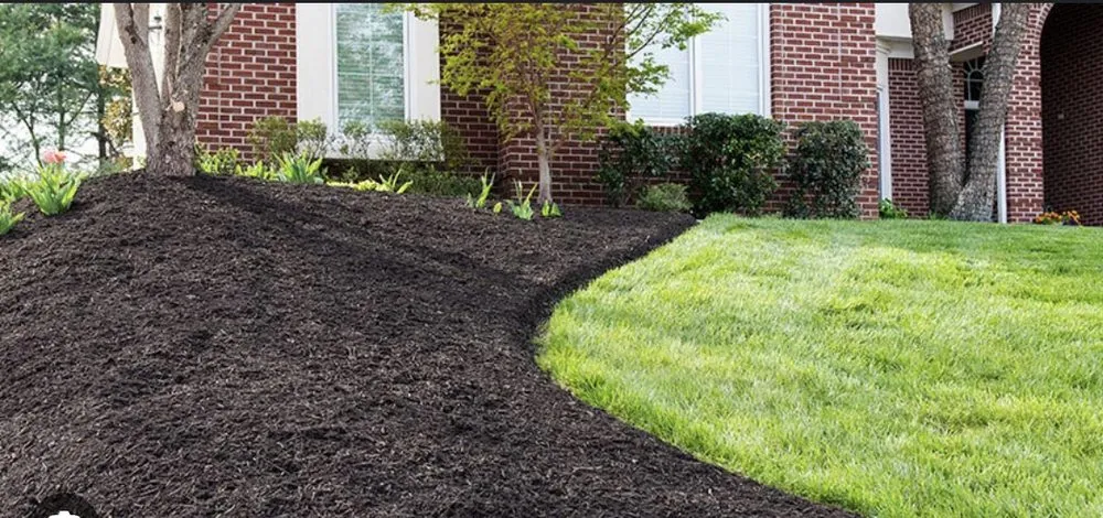 Affordable lawn mowing service in Terra Alta, WV - Double K Lawn Mowing