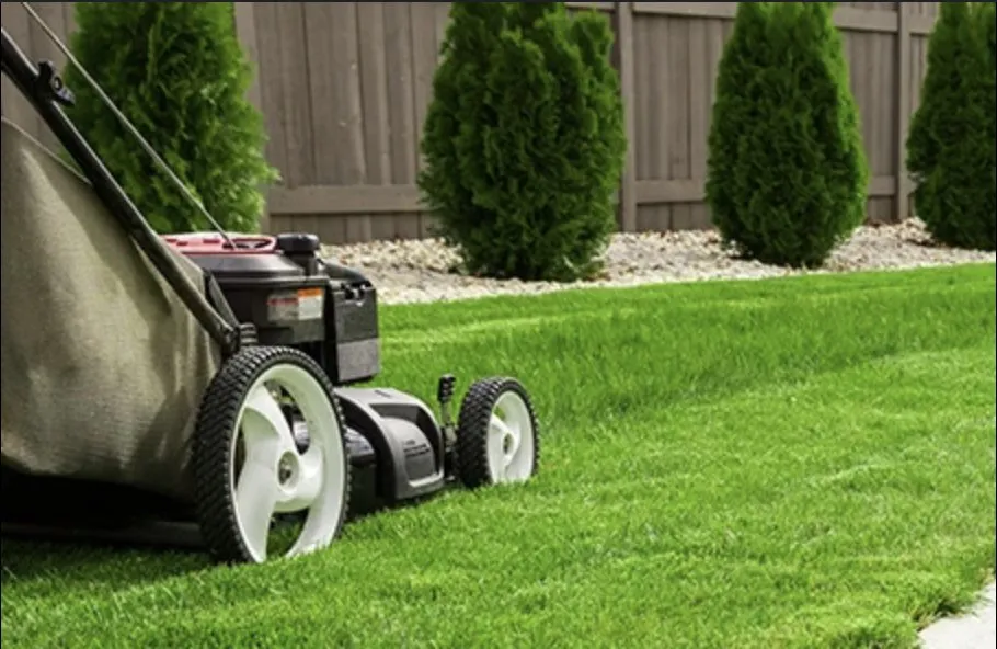 Custom yard cleanup service in Terra Alta, WV by Double K Lawn Mowing