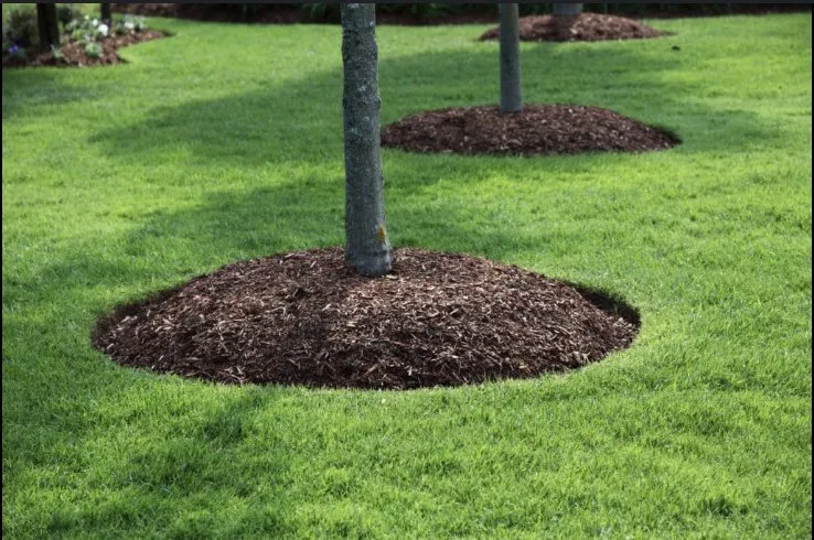 Professional yard maintenance in Terra Alta, WV by Double K Lawn Mowing