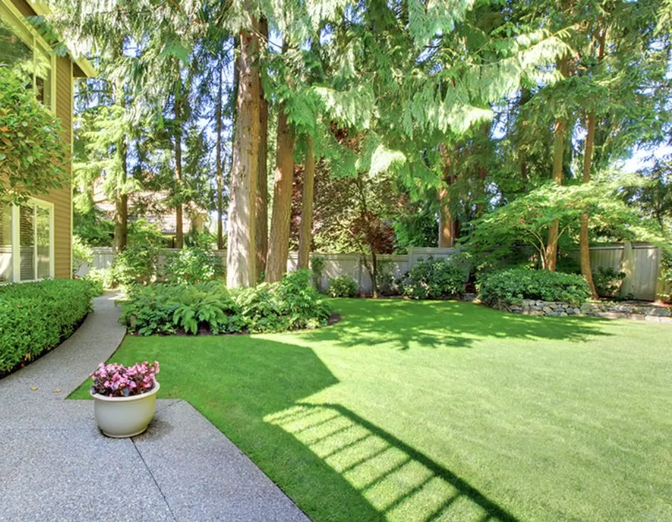 Reliable lawn care service near you across Terra Alta, WV - Double K Lawn Mowing