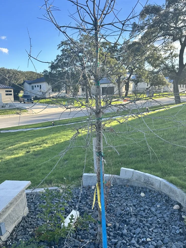 Custom landscape installation in San Antonio, TX by Double M Construction