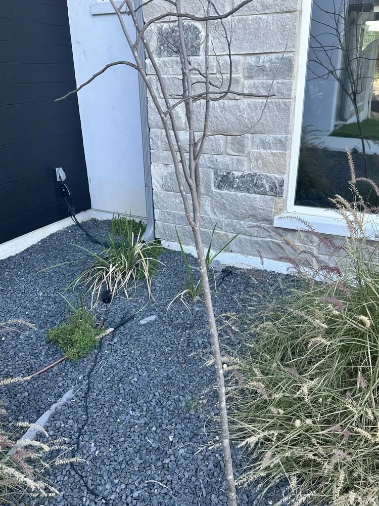 Top-rated lawn mowing service experts serving San Antonio, TX - Double M Construction