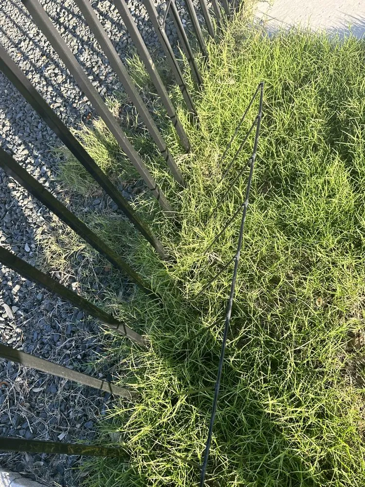 Local landscape design near you across San Antonio, TX - Double M Construction