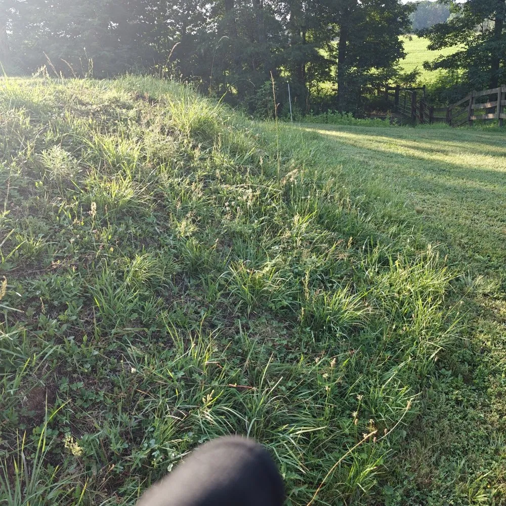 Reliable landscaping services in Fincastle, VA by Double M Mowing