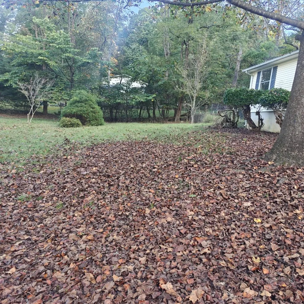Local yard maintenance in Fincastle, VA - Double M Mowing