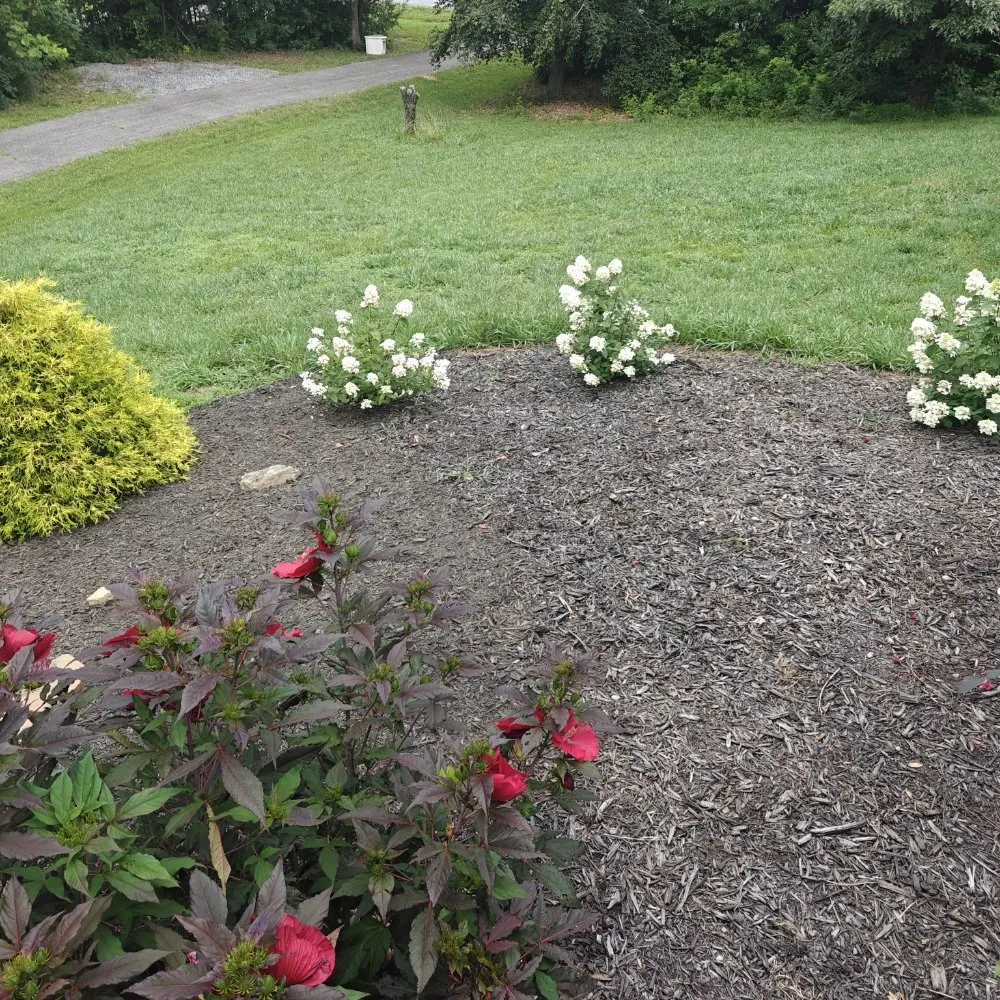 Top-rated yard cleanup service for outdoor upgrades across Fincastle, VA - Double M Mowing