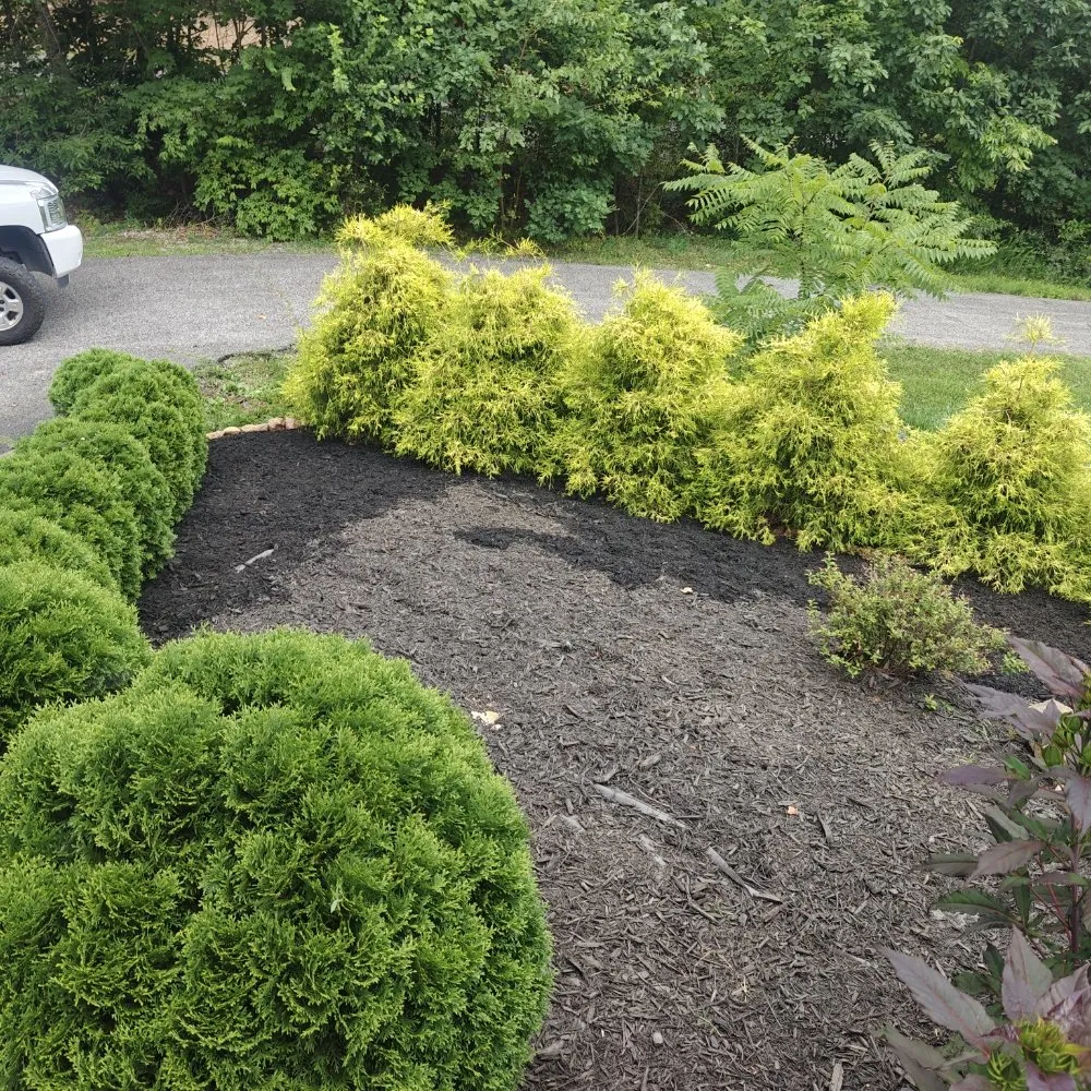 Reliable landscape design in Fincastle, VA by Double M Mowing