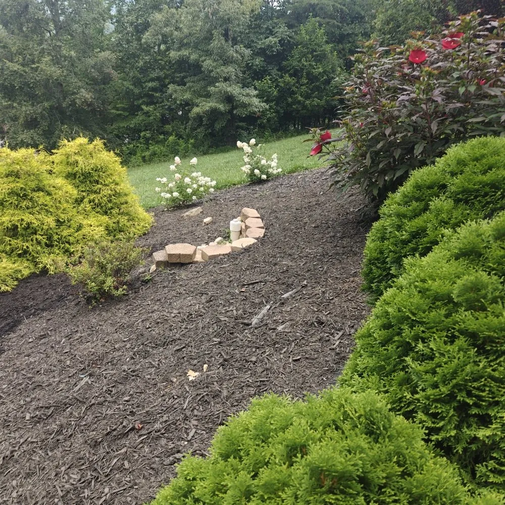 Affordable residential landscaping near you in Fincastle, VA by Double M Mowing