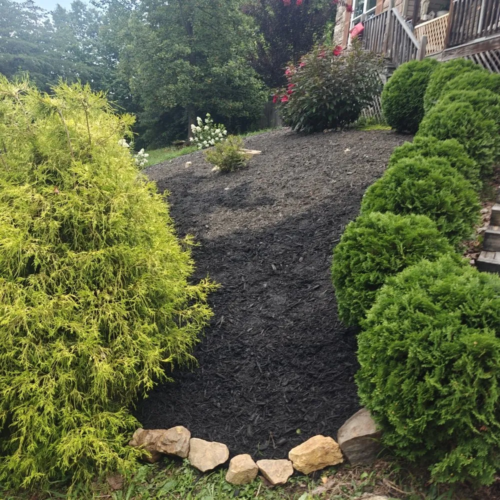 Local outdoor landscaping in Fincastle, VA - Double M Mowing