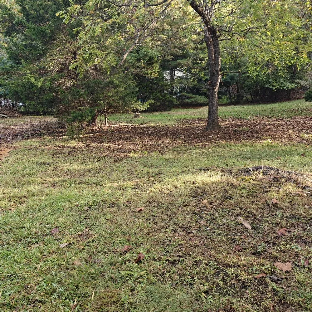 Expert lawn mowing service in Fincastle, VA - Double M Mowing