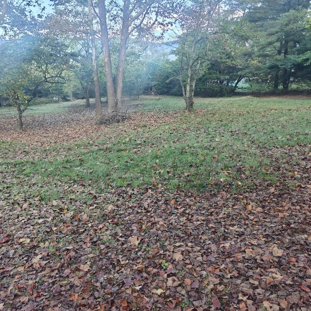 Reliable yard cleanup service in Fincastle, VA by Double M Mowing