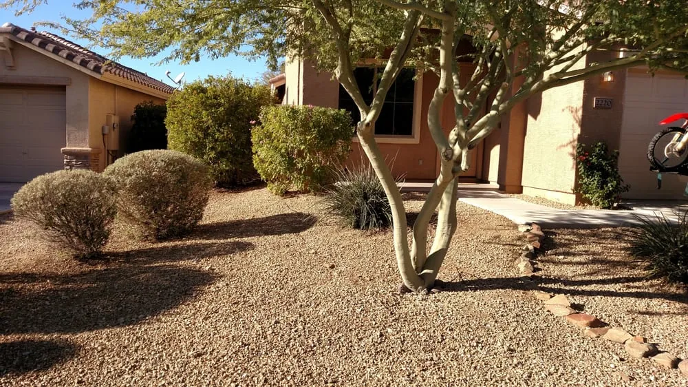 Local outdoor landscaping for year-round maintenance across Anthem, AZ - Double N Yard Maintenance
