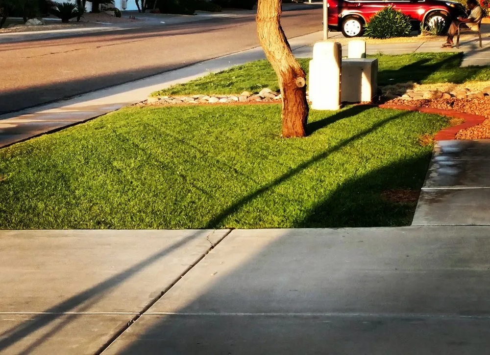 Professional outdoor landscaping experts serving Anthem, AZ - Double N Yard Maintenance