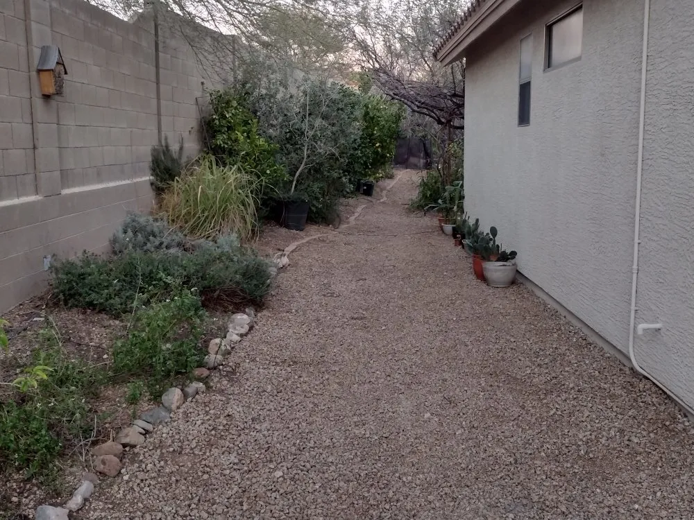 Professional landscaping services experts serving Anthem, AZ - Double N Yard Maintenance