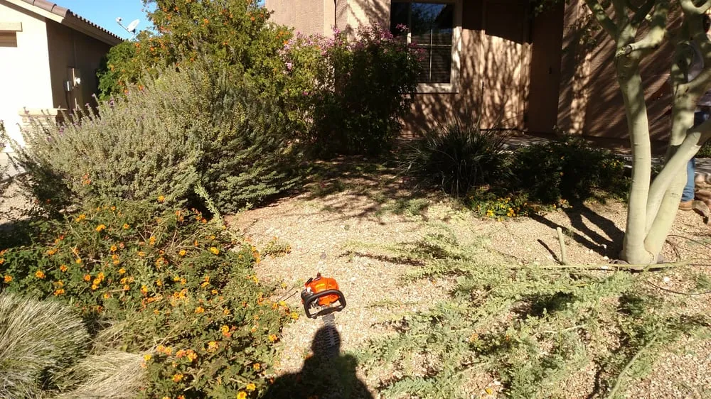 Reliable landscape installation in Anthem, AZ by Double N Yard Maintenance