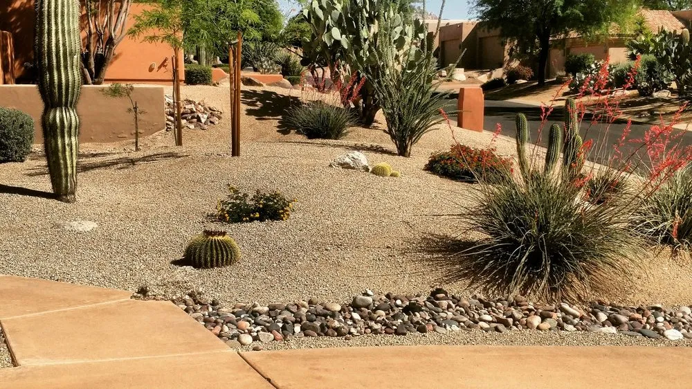 Reliable lawn mowing service experts serving Anthem, AZ - Double N Yard Maintenance