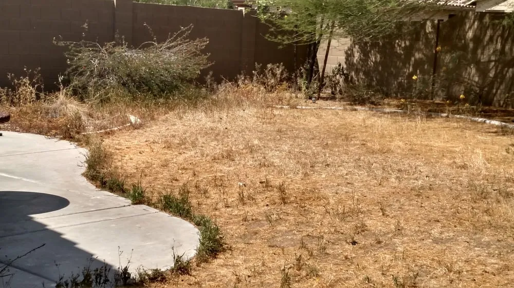 Reliable landscape design in Anthem, AZ - Double N Yard Maintenance