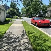 Custom yard cleanup service in Enola, PA by Double Nature