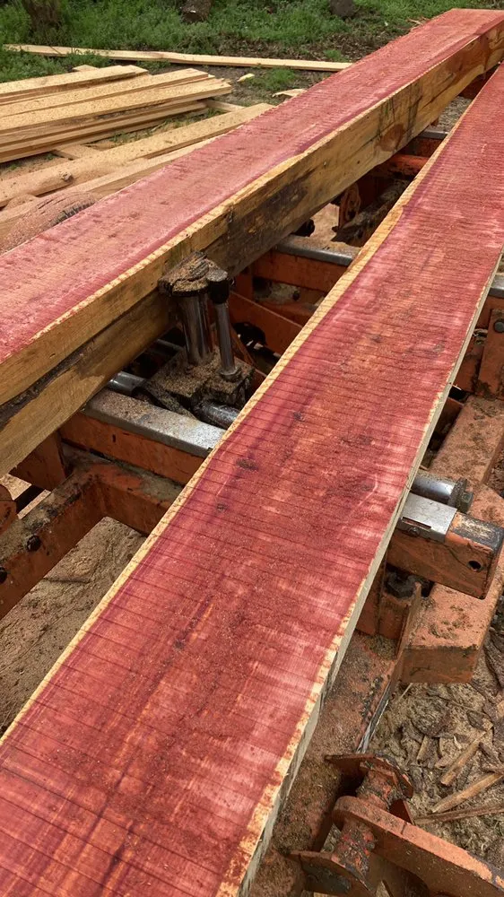 Professional landscaping services for homes in Comer, GA by Double O Land Management & Sawmill