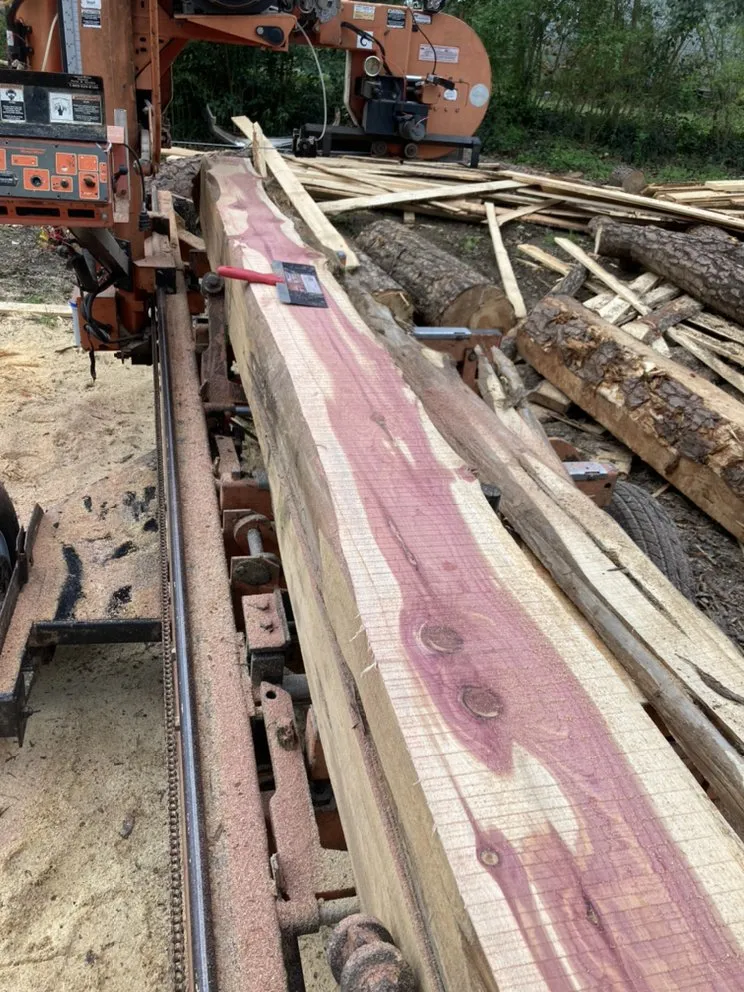 Trusted outdoor landscaping for outdoor upgrades across Comer, GA - Double O Land Management & Sawmill