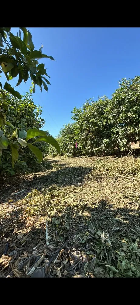 Expert lawn care service in Somis, CA - Double R Detailing Services