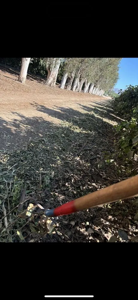 Professional residential landscaping experts serving Somis, CA - Double R Detailing Services