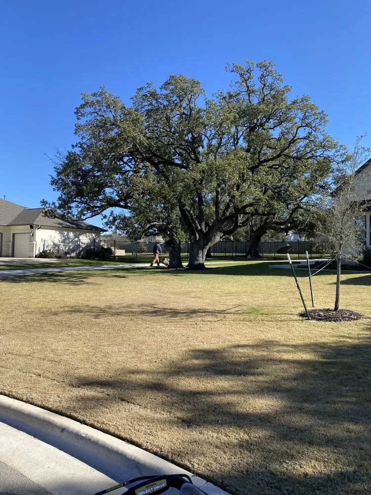 Affordable landscape design experts serving Leander, TX - Double R Lawn & Landscaping