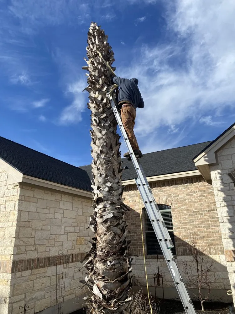 Trusted yard cleanup service experts serving Leander, TX - Double R Lawn & Landscaping