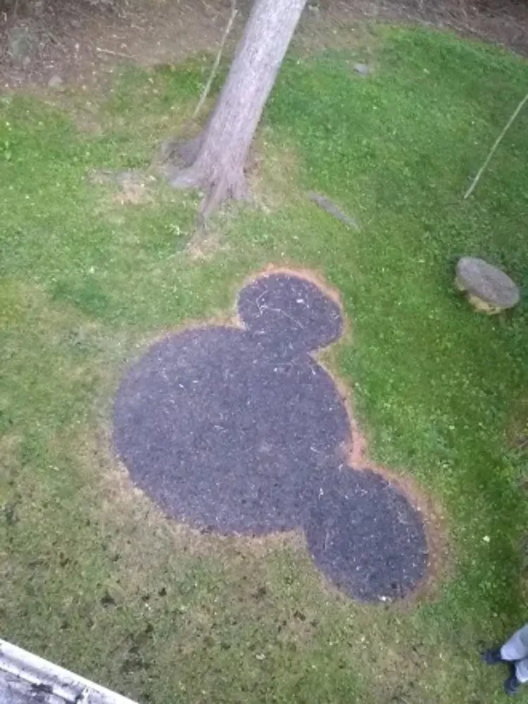 Professional residential landscaping experts serving Stanardsville, VA - Double R Lawn Care