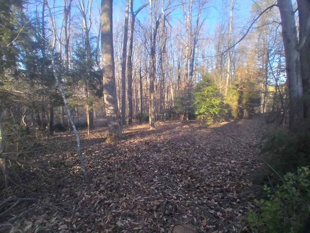 Top-rated landscape installation for beautiful yards across Stanardsville, VA - Double R Lawn Care