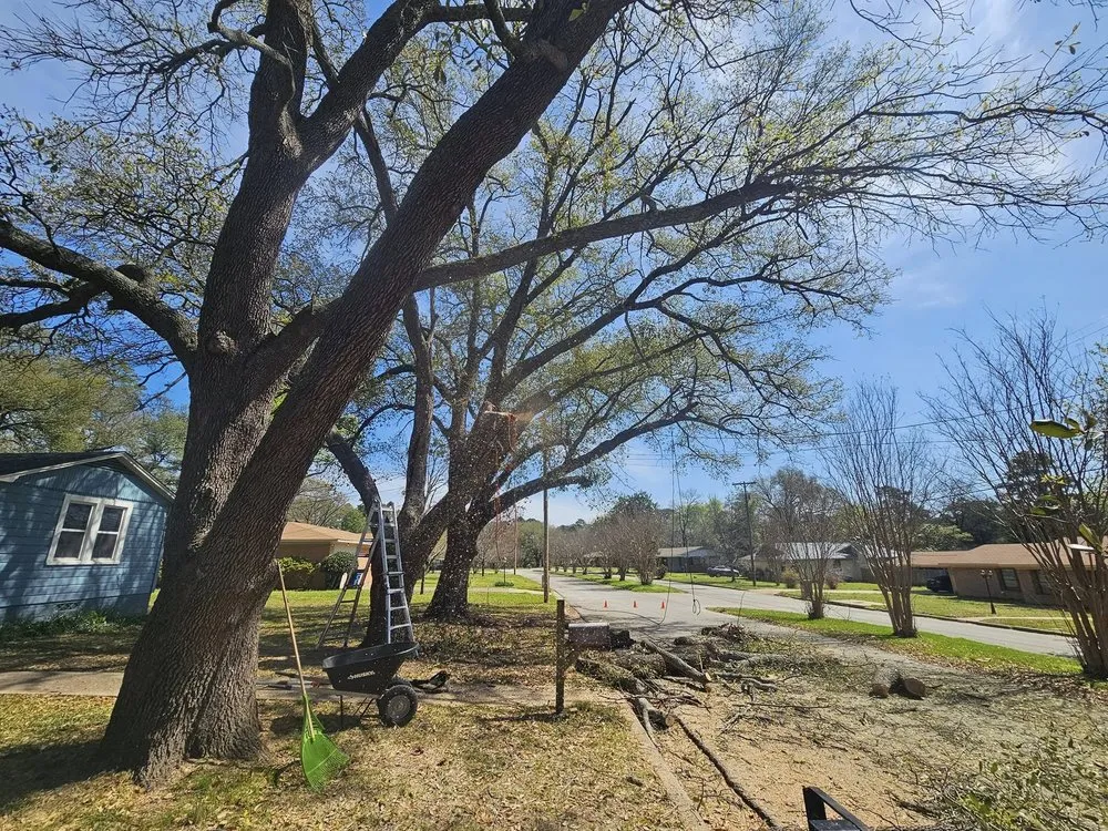 Reliable yard maintenance for outdoor upgrades in Gilmer, TX by Double S Handyman Services