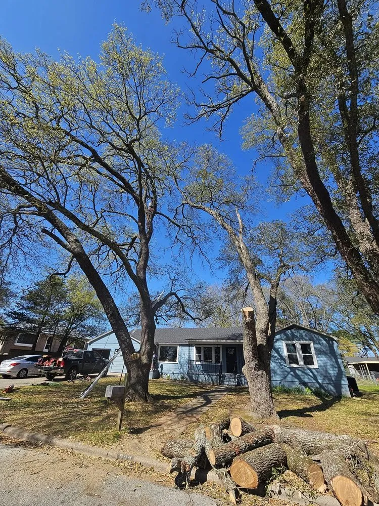 Expert landscape design in Gilmer, TX by Double S Handyman Services