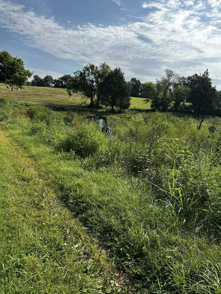 Local landscape design for beautiful yards in Greenbrier, TN by Double T Brush Cutting