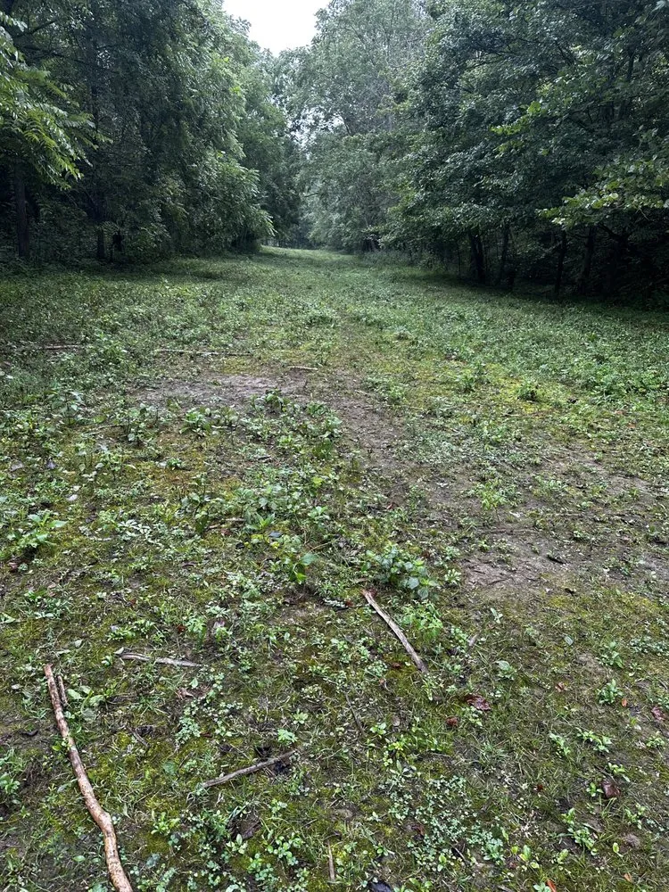 Trusted landscape installation experts serving Greenbrier, TN - Double T Brush Cutting