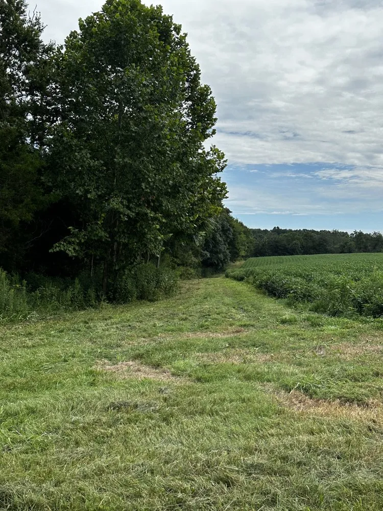 Affordable lawn care service for residential properties across Greenbrier, TN - Double T Brush Cutting