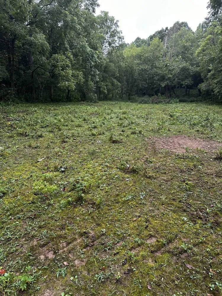 Local residential landscaping with custom design in Greenbrier, TN by Double T Brush Cutting