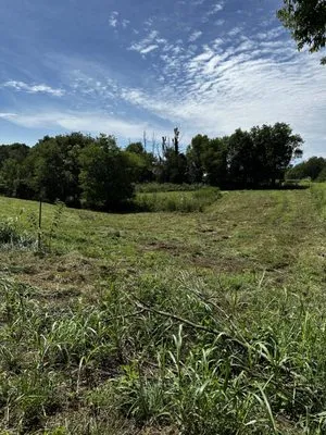 Double T Brush Cutting Logo