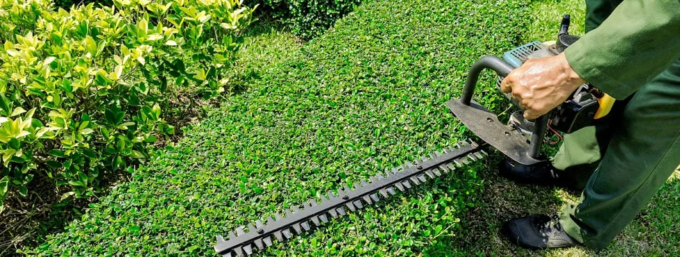 Expert residential landscaping in New York, NY - Double Tree Trimming & Removal