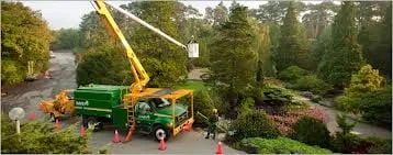Affordable outdoor landscaping for year-round maintenance across New York, NY - Double Tree Trimming & Removal