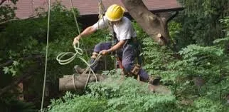 Reliable lawn mowing service experts serving New York, NY - Double Tree Trimming & Removal