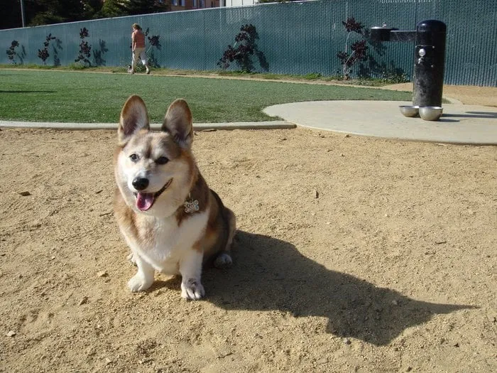 Expert lawn mowing service experts serving Danbury, CT - Double Tree Trimming and Removal