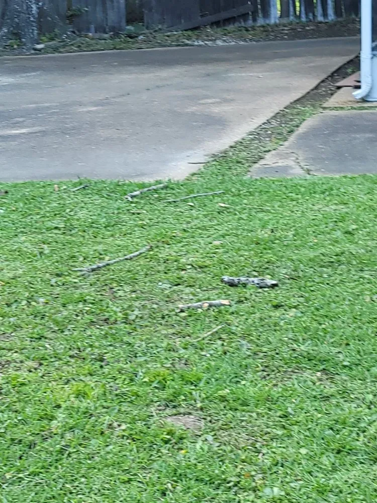 Reliable landscaping services experts serving Mobile, AL - Double Trouble Lawn Care