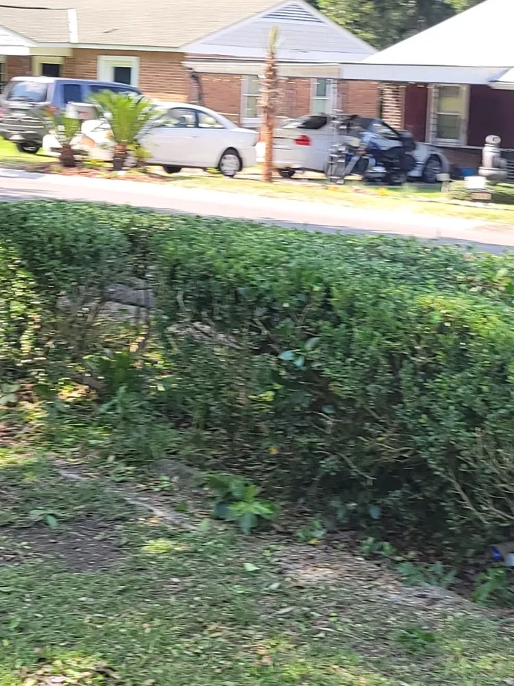 Custom yard cleanup service in Mobile, AL - Double Trouble Lawn Care